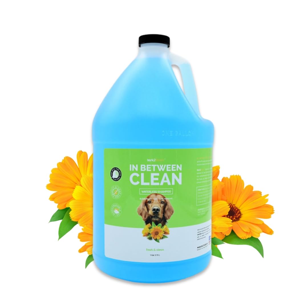 Waterless Dry Dog Shampoo, No Rinse, 1 Gallon J62271