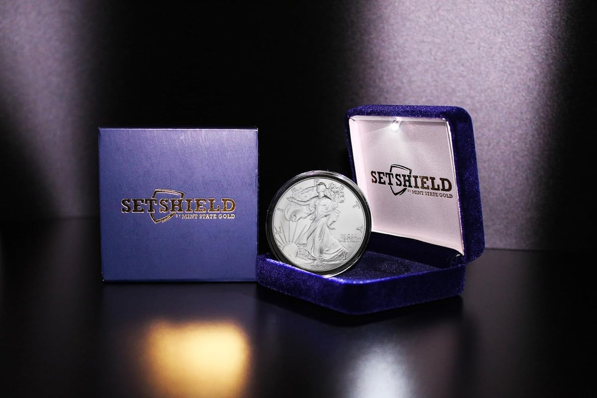 1 oz American Silver Eagle Coin with LED Presentation Box D614139