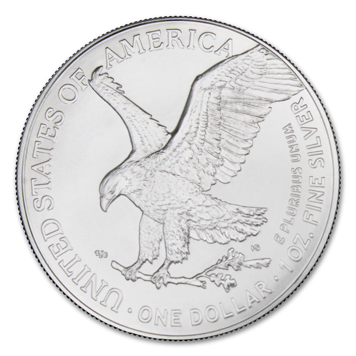 1 oz American Silver Eagle Coin with LED Presentation Box D614139