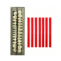 28 Pcs False Teeth Synthetic Resin Dentures Repair Kit F21302