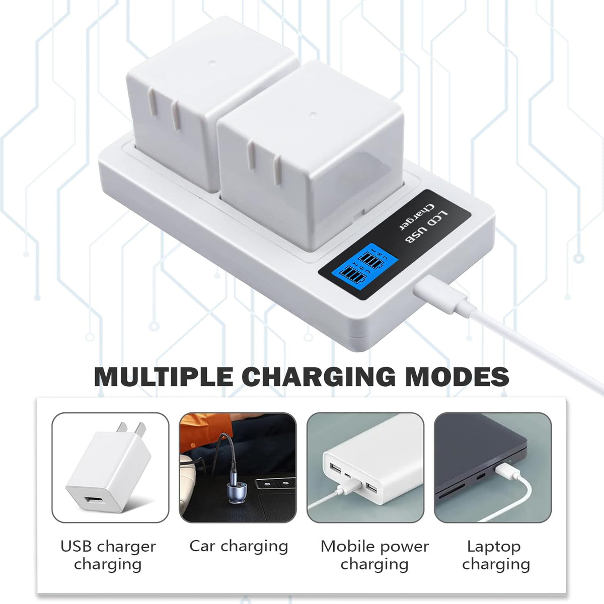 2Pack Batteries and Charger S863943