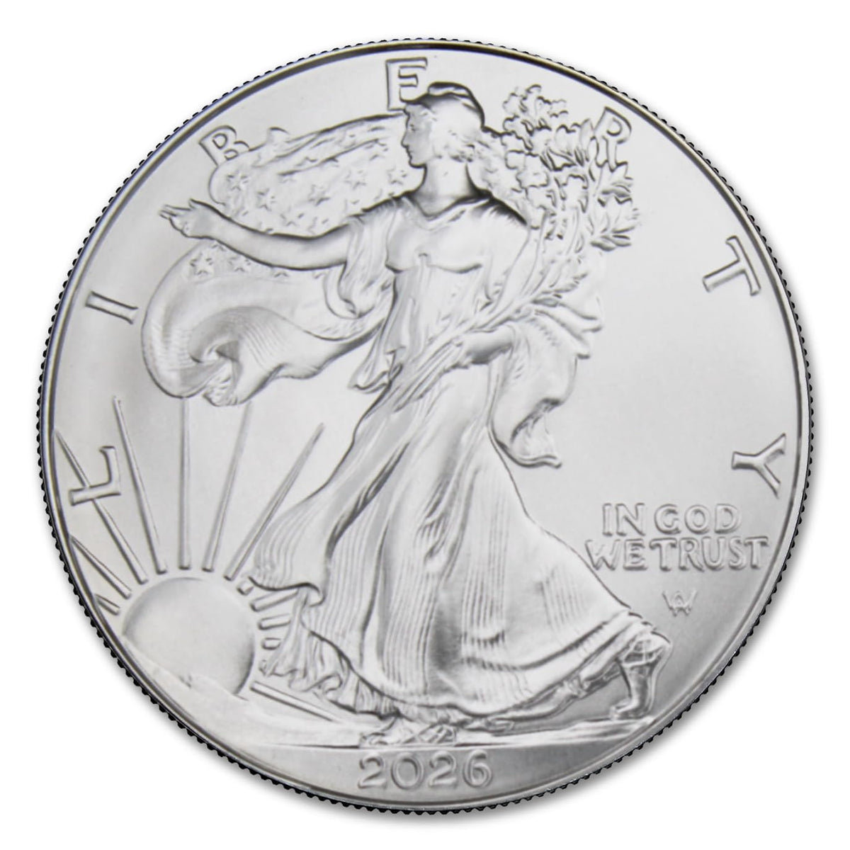 1 oz American Silver Eagle Coin with LED Presentation Box D614139