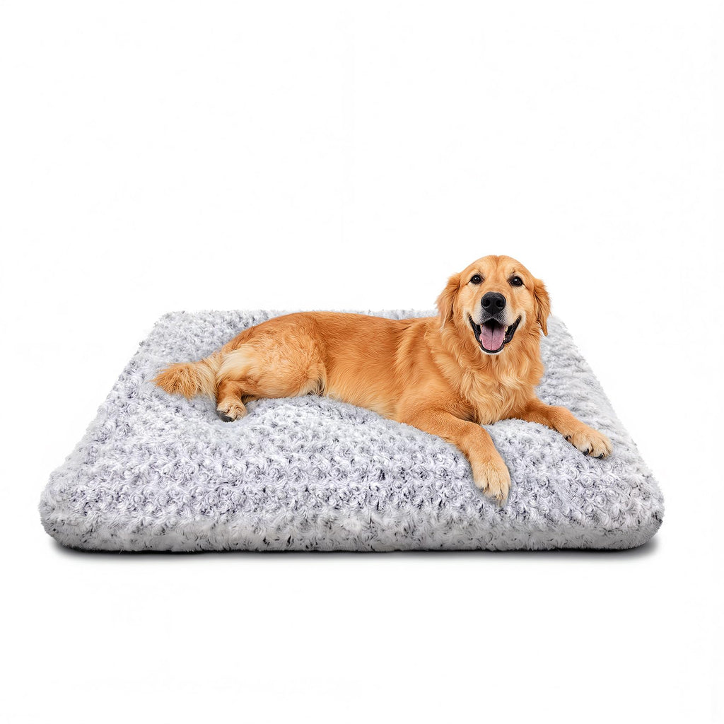 Large Washable Plush Dog Bed Q143