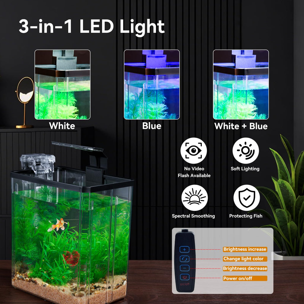 1.5 Gallon Aquarium Starter Kit with Filteration Lighting S940175