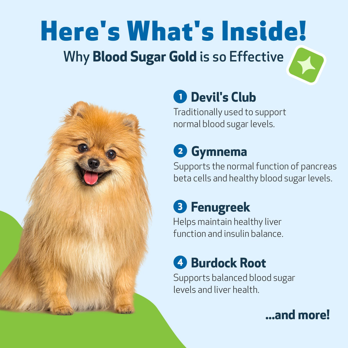 Blood Sugar Support for Dogs 2 oz N917637