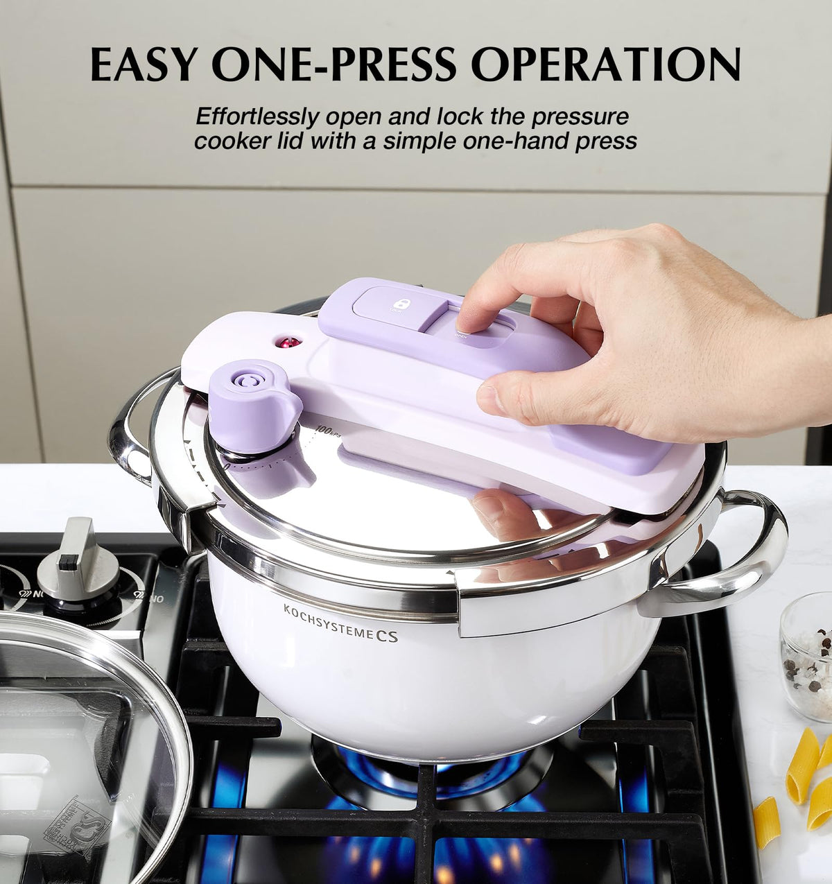 Small Stainless Steel Pressure Cooker 3.2 Quart J143