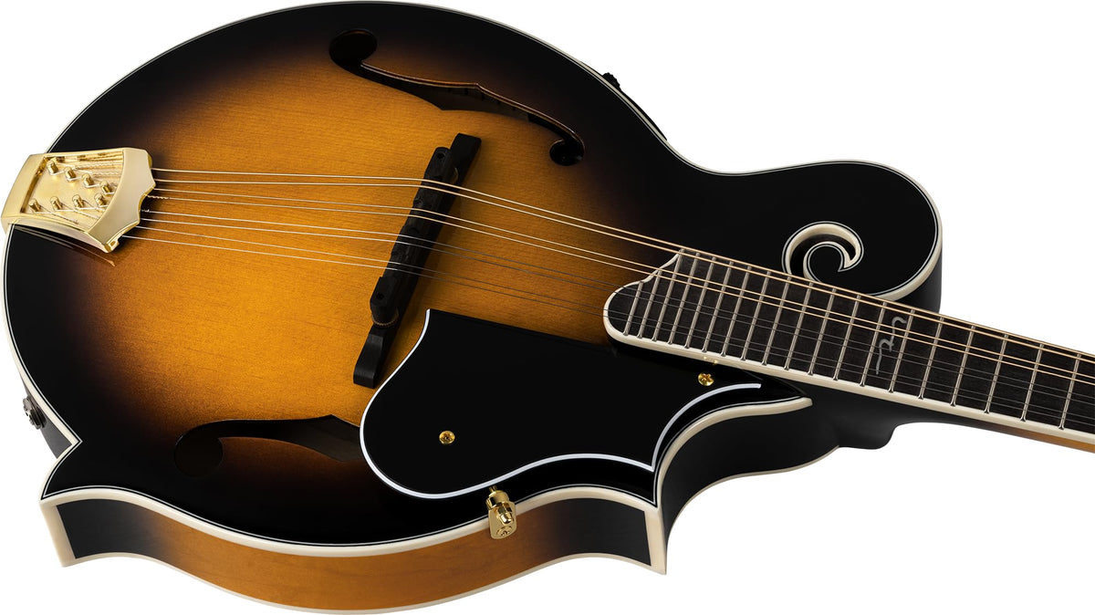 Solid Top F-Style Acoustic-Electric Mandolin Tobacco Sunburst D4619