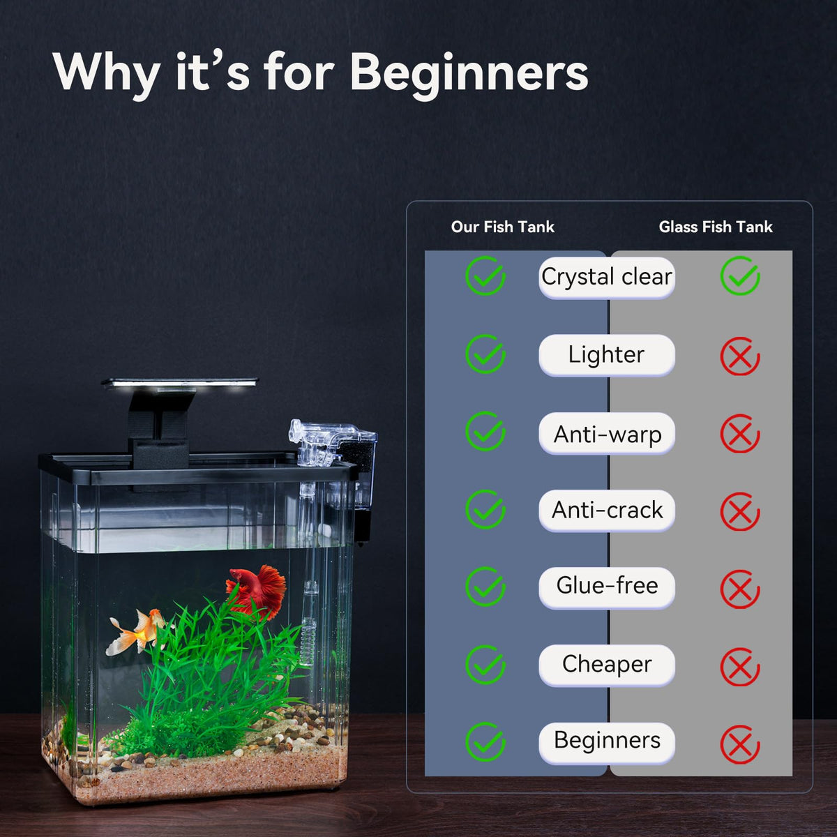 1.5 Gallon Aquarium Starter Kit with Filteration Lighting S940175