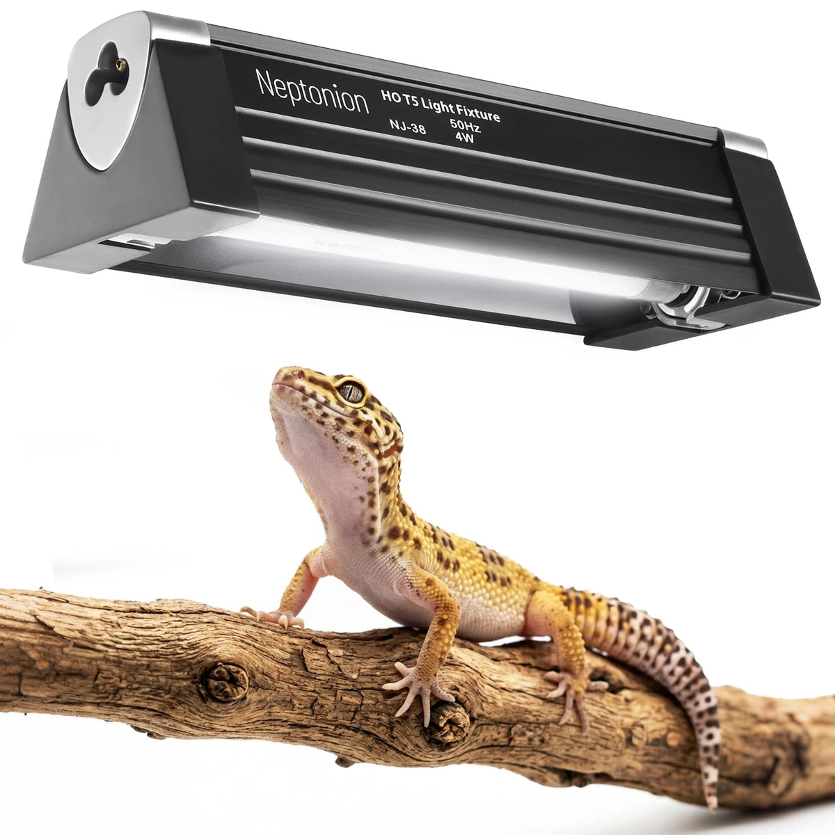 T5 HO UVB 5.0 Light Fixture with Tube Q5004