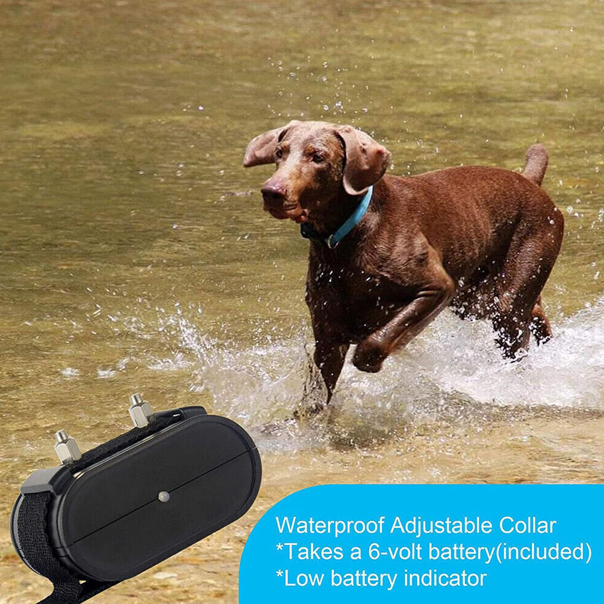 Electronic Dog Fence & Training Collar System, 1/2 Acre, Waterproof N358