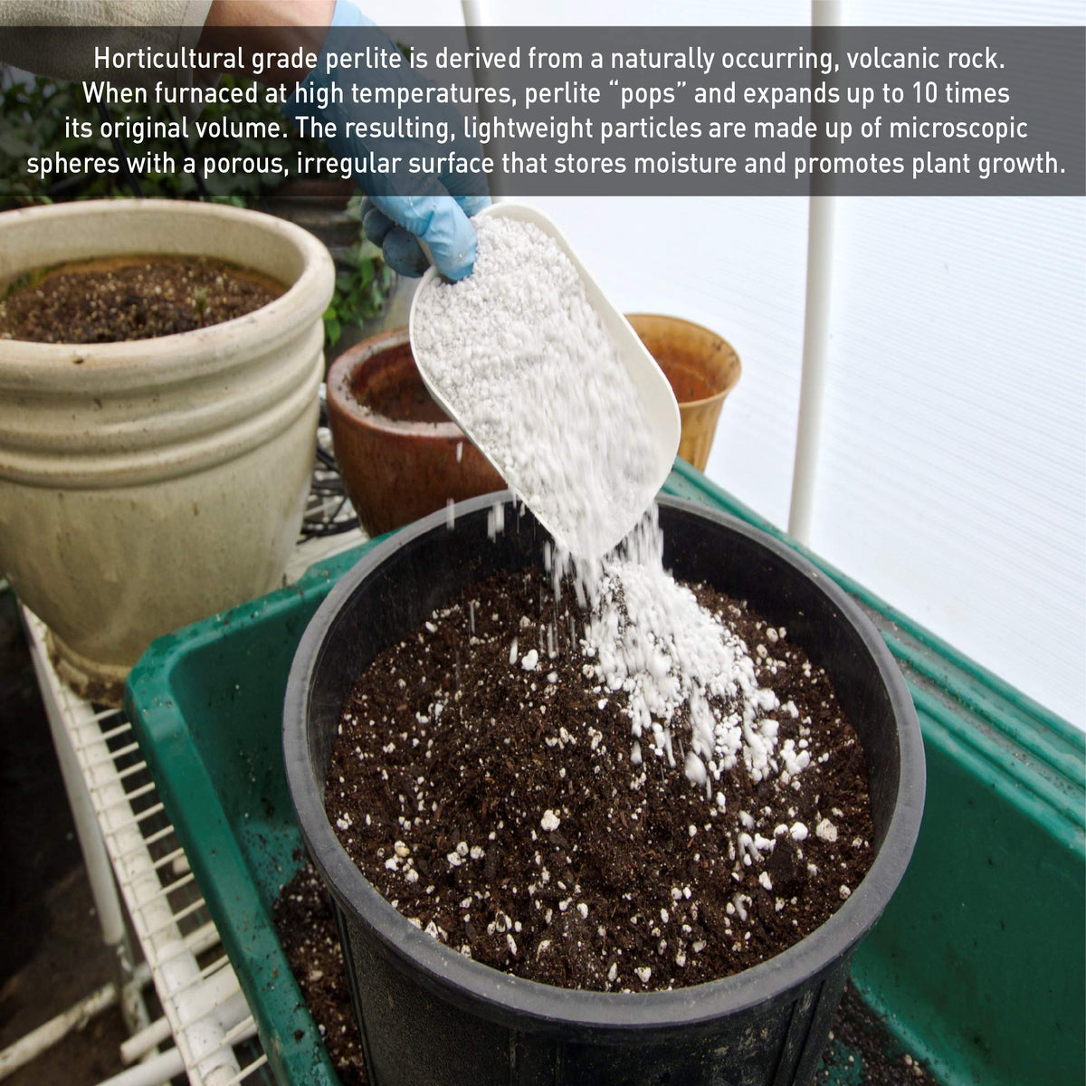 Horticultural Grade Expanded Perlite 4 Cubic Foot S18254