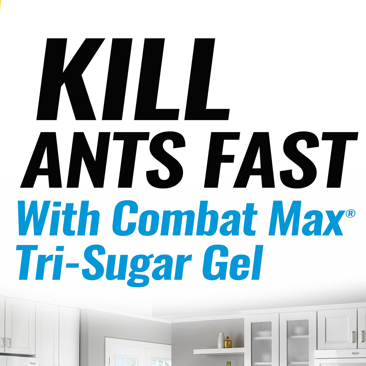 Ant Killing Gel Bait Station 4 Count Z794775