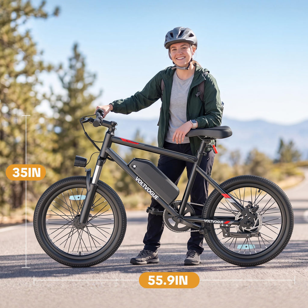 48V 1000W Peak Motor 22 mph 20Inch Fat Tires Electric E-Bike D807223