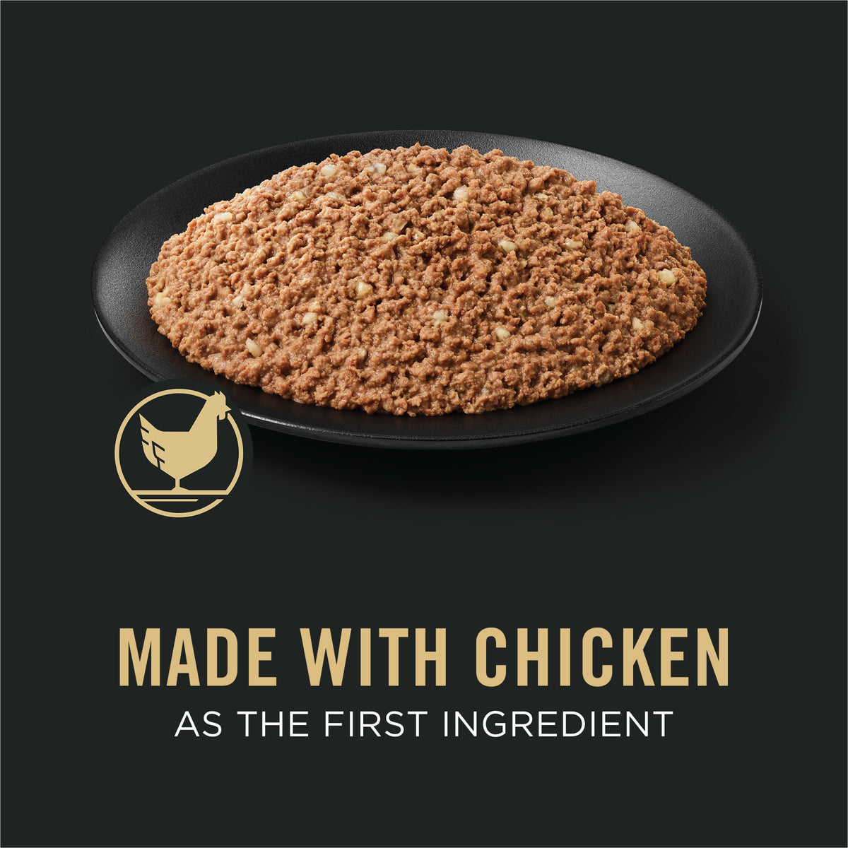 Wet Puppy Food Pate Chicken & Rice 12 Cans P17981