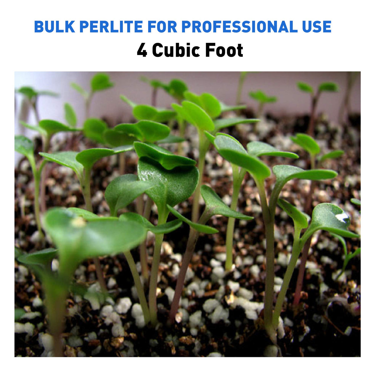 Horticultural Grade Expanded Perlite 4 Cubic Foot S18254