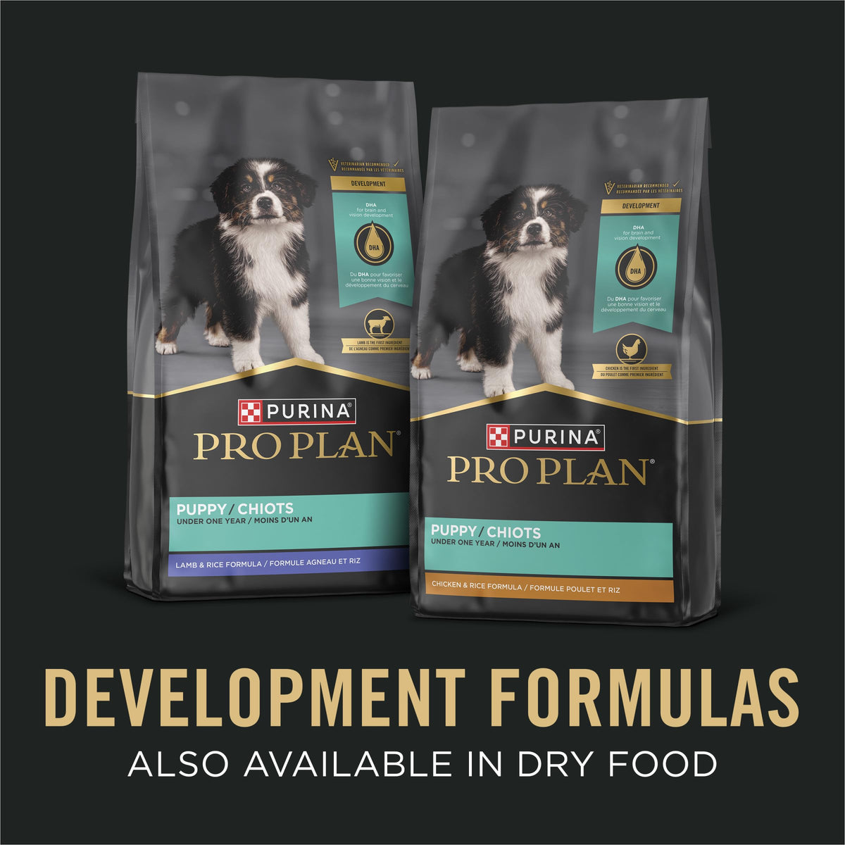 Wet Puppy Food Pate Chicken & Rice 12 Cans P17981