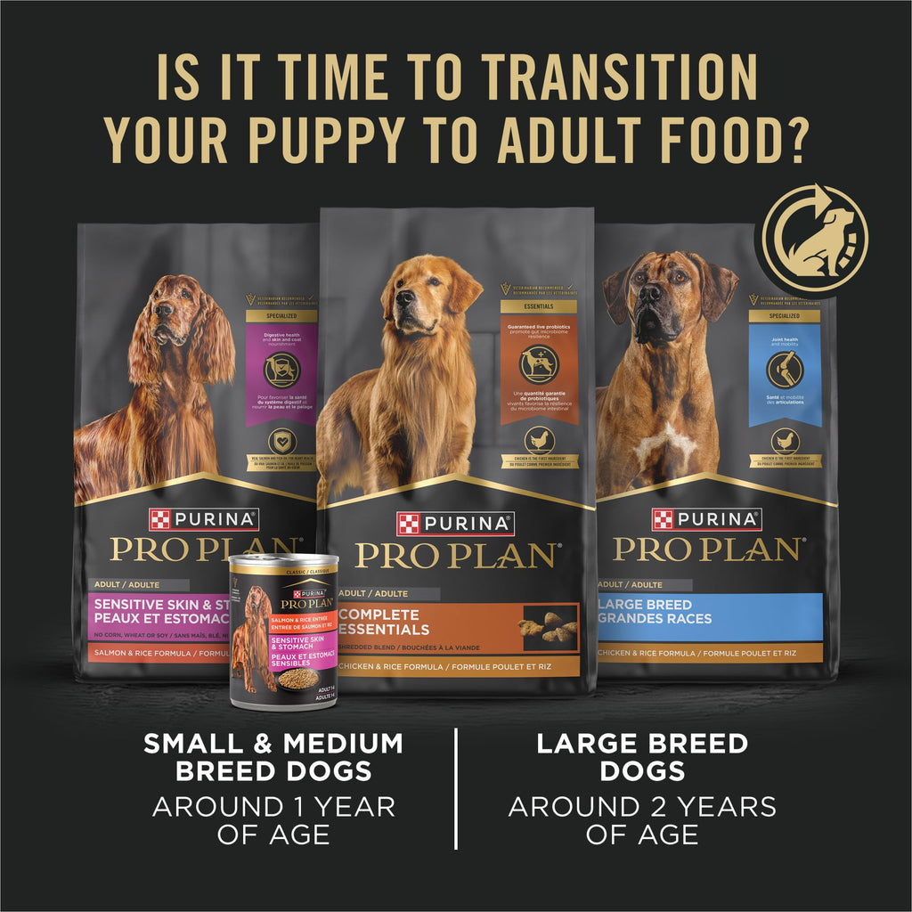 Wet Puppy Food Pate Chicken & Rice 12 Cans P17981