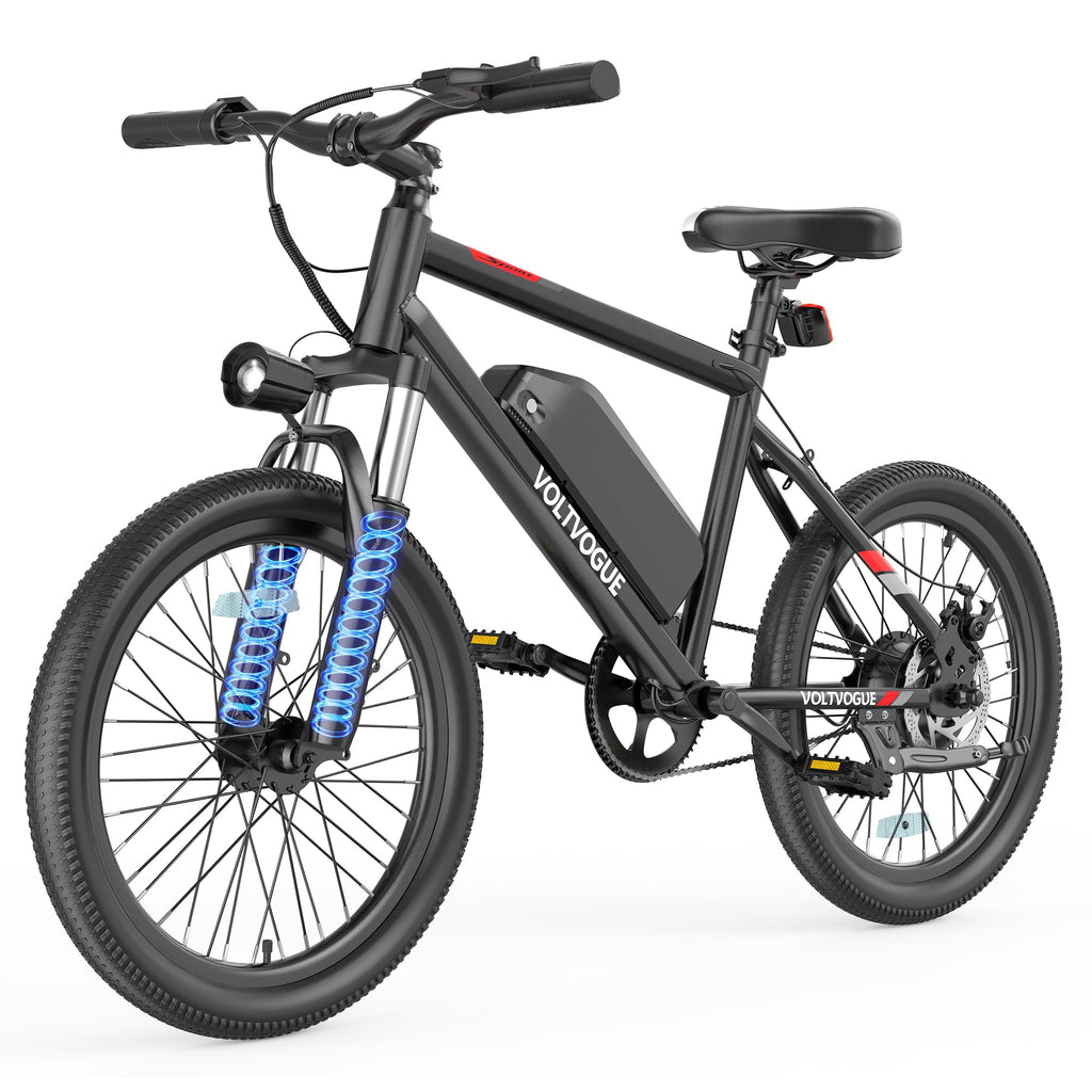 48V 1000W Peak Motor 22 mph 20Inch Fat Tires Electric E-Bike D807223