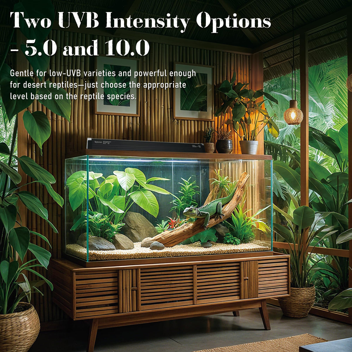 T5 HO UVB 5.0 Light Fixture with Tube Q5004
